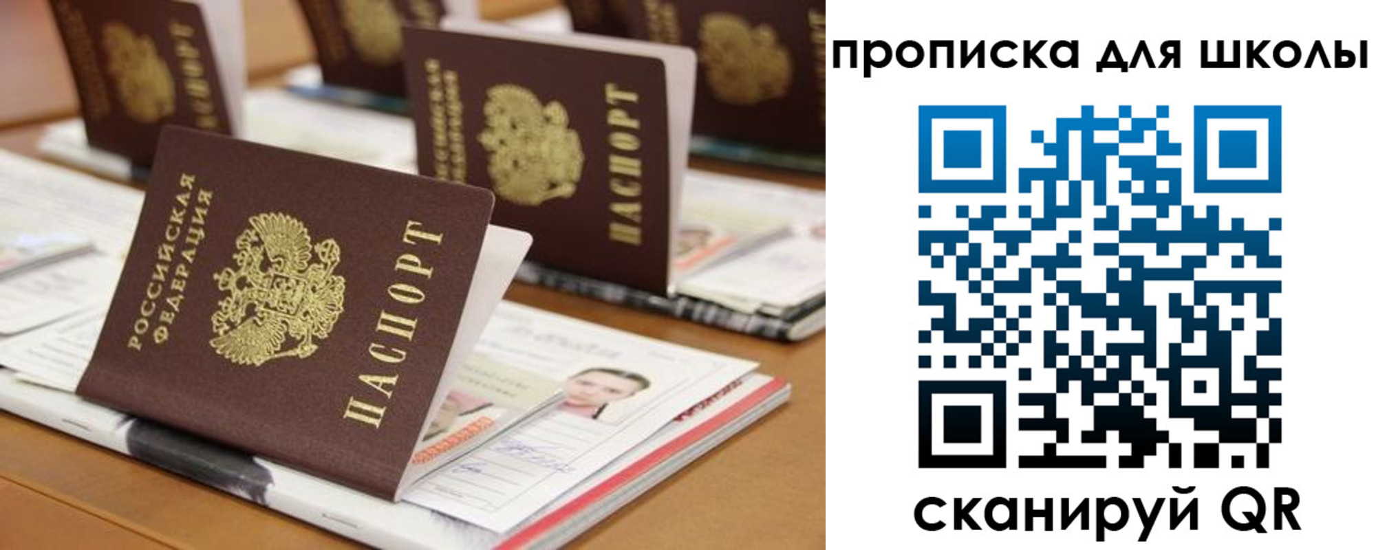 временная регистрация надежно в Читинской области